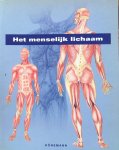 Cerver, Francisco Asensio (samenstelling) - Het menselijk lichaam Cerver, Francisco Asensio (samenstelling) - Het menselijk lichaam