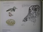 Beintema, Albert; Oene Moedt en Danny Ellinger - Ecologische Atlas van de Nederlandse Weidevogels.