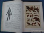 Hermann Wagner  en D. Horn (vertaling). - De natuurlijke historie : naar den vierden druk van "Wagner's Illustrierte Naturgeschichte". Met 306 gekleurde afbeeldingen naar aquarellen van W. Hoffmann en 282 houtgravures.