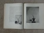 Preininger, Margaret - Japanese Flower Arrangemant for Modern Homes