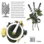 Bauwens , Peter . [ ISBN 9789058975256  ] 4518 - Basilicum . ( Botanisch, Praktisch & Culinair . ) Basilicum is enorm populair. In dit boek beschrijft Peter Bauwens niet alleen het rijke verleden van Ocimum basilicum als Koninklijke plant, maar ook heel praktisch hoe je succesvol zelf basilicum -
