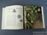 Pfistermeister, Ursula und Stille, Eva. - Christbaumschmuck. Ein Buch für Sammler und Liebhaber alter Dinge. Mit 507 Abbildungen und 30 Farbtafeln. [Durchgesehene Auflage mit völlig neu gestalteten Bildteil]