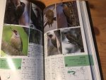 Kanouchi, Abe & Ueda - Birds of Japan - Vogels van Japan
