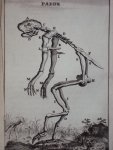 Cornelius van Dyk - Osteologia of nauwkeurige geraamt beschryving van verscheyde dieren