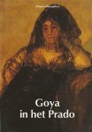 Cerutti, Lucia - Goya in het Prado