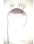  - Elviera Wencke