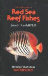 Randall, John E. - Diver's Guide to Red Sea Reef Fishes. 365 Colour illustrations.