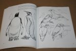 David Brown - Teken vogels