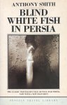  - Blind White Fish in Persia