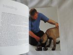 Davis, Caroline - Honden 500 vragen beantwoord