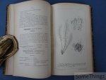 Constantin de Rey-Pailhade. - Les fougères de France. Avec 56 planches hors-texte. [Convolut, complet.]
