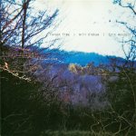 Erik Wesselo - Forest Time + LP (vinyl)