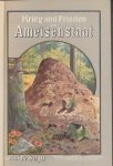 Sajo, Prof. Karl - Der Ameisenstaat. Krieg und Frieden im Ameisenstaat. Mit zahlreichen Abbildungen