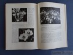 Thomale, Hans - Die Orchideen. Einführung in die Kultur und Vermehrung tropischer und einheimischer Orchideen.