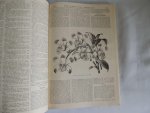  - The gardeners' chronicle - A weekly illustrated journal of horticulture and allied subjects