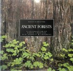 David Middleton - Ancient Forests A Celebration of North America's Old-Growth Wilderness