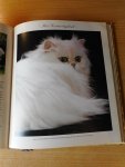  - Het kattendagboek
