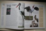 Alderton, D. - een frisse kijk op vogels en hun wonderlijke levensstijlen  VOGELS  de Natuur in Beeld