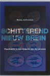 N. Andreasen - Schitterend nieuw brein psychiatrie in het tijdperk van het genoom