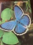 Emmel - Spectrum vlinderboek