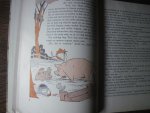 Dick, Phiny met illustraties van de schrijfster - Miezelientje en Kakeline de Kip.