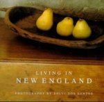 Solvi Dos Santos - LIVING IN NEW ENGLAND (Solvi dos Santos)