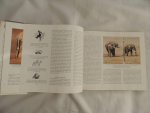 Paul Bosman; Anthony Hall-Martin - 	paintings and drawings by Paul Bosman ; text by Anthony Hall-Martin. - Elephants of Africa