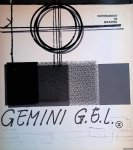 Leering, J. - Experiment in grafiek: Gemini G.E.L. (II)