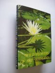 Paz, Uzi / Shiloh, I. transl. into English - Wild Flowers of the Holyland