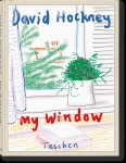 David Hockney 11357 - David Hockney  My Window