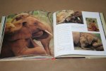 Gerry Ellis - Wild Orphans  (Fotoboek over jonge olifanten)