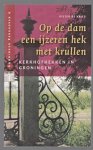 Vries, Pieter de - Op de dam een ijzeren hek met krullen, kerkhofhekken in Groningen