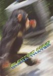 Diana Thater, Pat EtAl Murphy - Electric mind