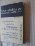 Stadtland-Neumann, Hiltrud - Evangelische Radikalismen in der Sticht Calvins / Sein Verständnis der Bergpredigt und der Aussendungsrede / Band XXIV
