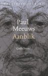 Paul Meeuws - Aanblik