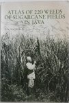 Backer C.A. - Atlas of 220 Weeds of Sugar-Cane Fields in Java Latijnse naam volume 7 atlas