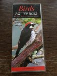 Greg R. Homel - Birds of central And northern California, A guide to common And tonale species