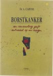 A Clarysse Jos Verniest - Borstkanker : een canceroloog geeft antwoord op uw vragen
