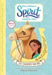 Stacia Deutsch - Het dagboek van Pru