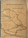 Alzinger, Wilhelm - Aguntum und Lavant Führer durch die Römerzeitlichen Ruinen Osttirols Mit 24 Abbildungen 2 Übersichtsplänen und 2 Karten