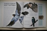 Alderton, David - een frisse kijk op vogels en hun wonderlijke levensstijlen  VOGELS  de Natuur in Beeld