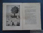 Pallemaerts, J.Fr. - Onze-Lieve-Vrouw van Scherpenheuvel. Eerste deel: Geschiedenis vanaf het ontstaan tot het jaar 1603.