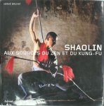 Hervé Bruhat - Shaolin