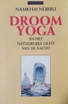 Namkhai Norbu - Droomyoga