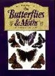 Gordon / Lynn - BUTTERFLIES & MOTHS OF THE BRITISH COUNTRYSIDE