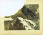 Goeverneur, J.J.A., (met 24 plaatjes naar Otto Eerelman) - Goeverneur's Fabelboek: Fabelen en Gedichtjes