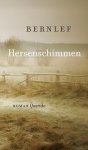 J. Bernlef, N.v.t. - Hersenschimmen