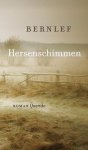 Bernlef, N.v.t. - Hersenschimmen