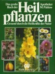 Pahlow, M. - Das grosse Buch der Heilpflanzen. Gesund durch die Heilkräfte der Natur. Wissenswertes über 400 einheimische und frremdländische Heilpflanzen, ihre Inhaltsstoffe und Heilwirkung.