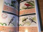Ponce & Muschett - An Illustrated Field Guide to the Birds of Panama